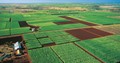 Aerial photo of farm land in Bundaberg